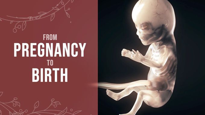 Pregnancy - How a Wonder is Born!