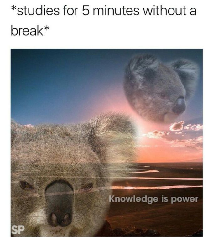 Med Student Life