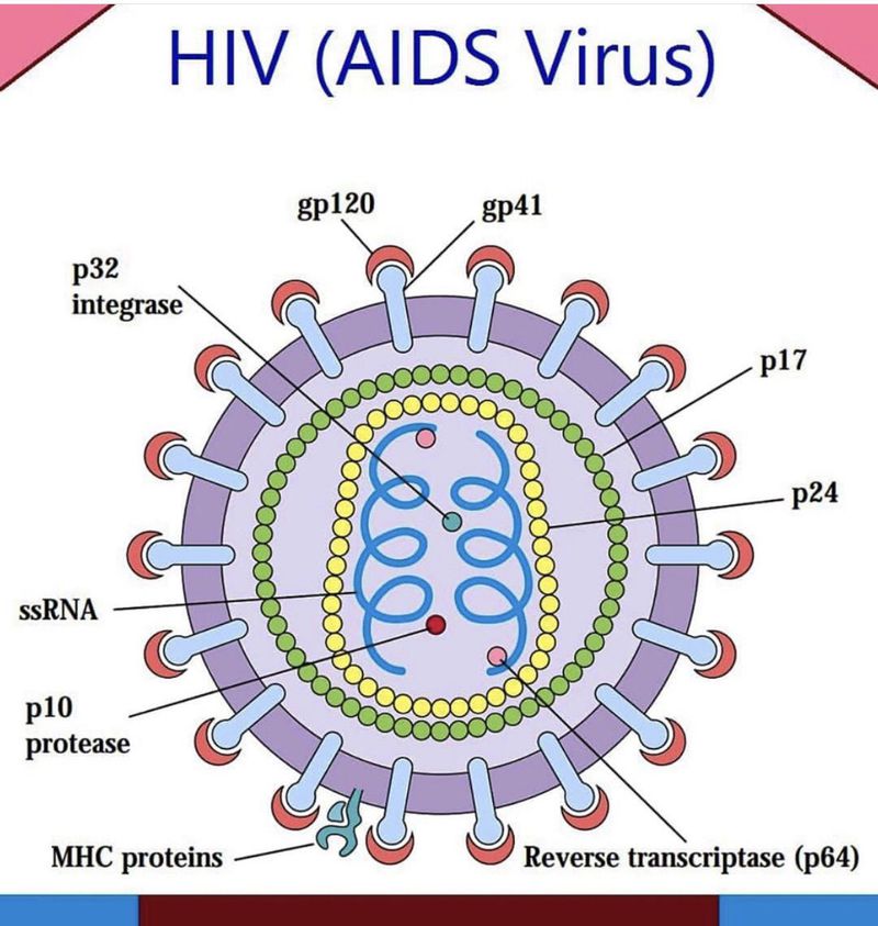 Hiv Virus Medizzy