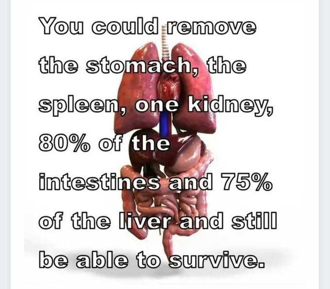 true fact?