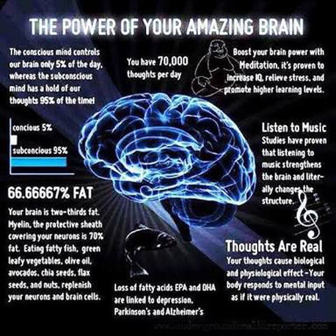 Amazing brain