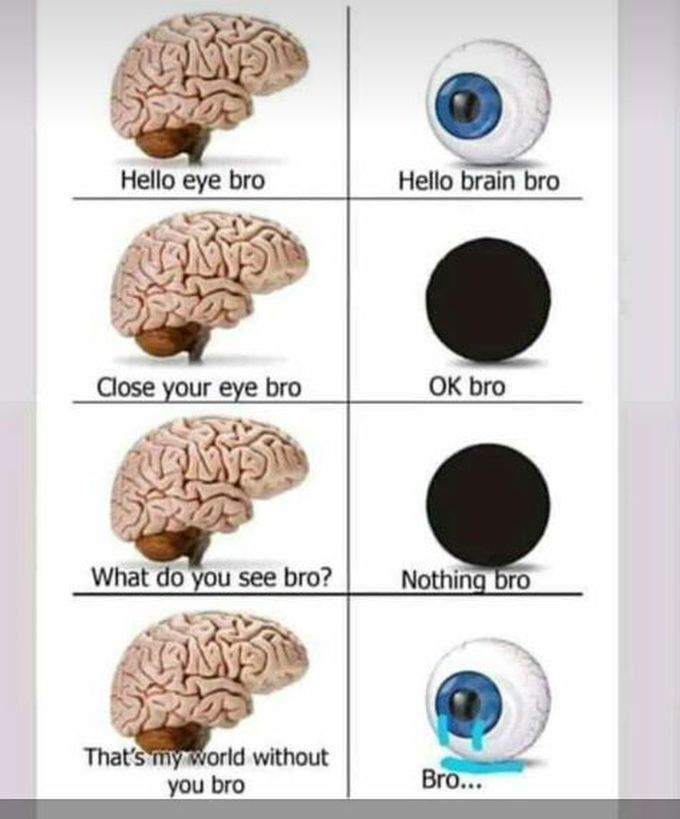 😂😂😂