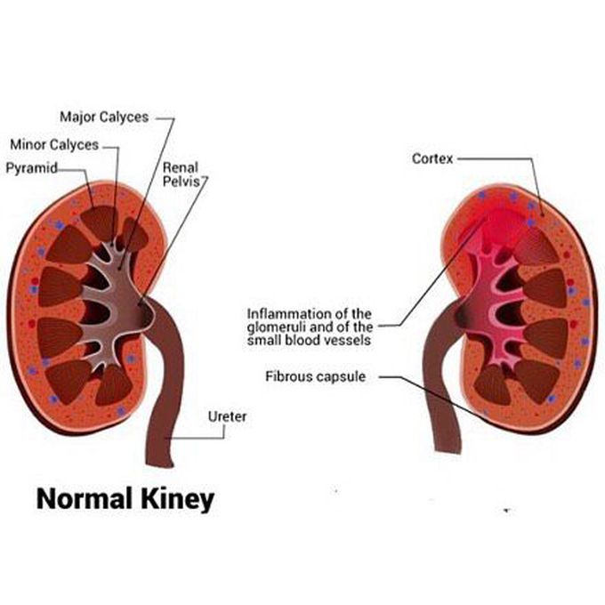 Guess the diagnosis! 🤔