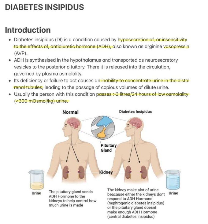 Diabetes Insipidus I