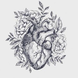 The Human Heart - MEDizzy