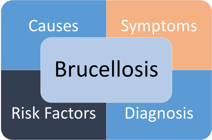 Symptoms of Brucellosis
