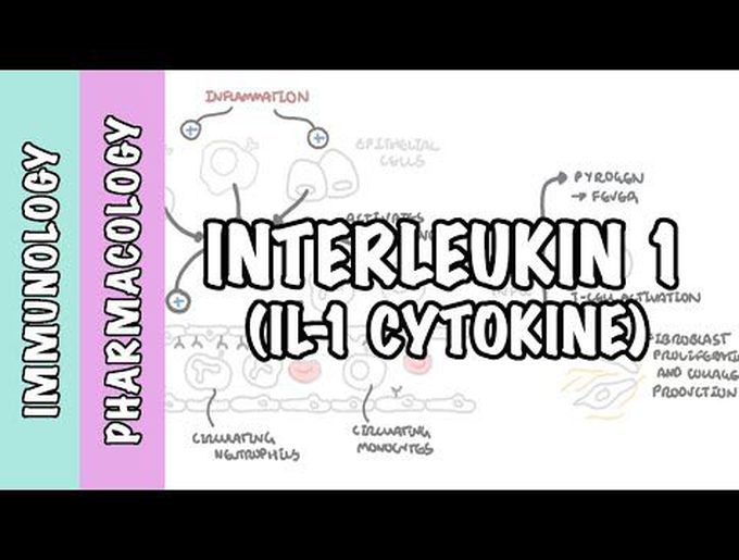 Interleukin-1 Physiology and IL-1 Antagonist Pharmacology
