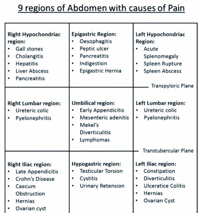 regions of abdomen