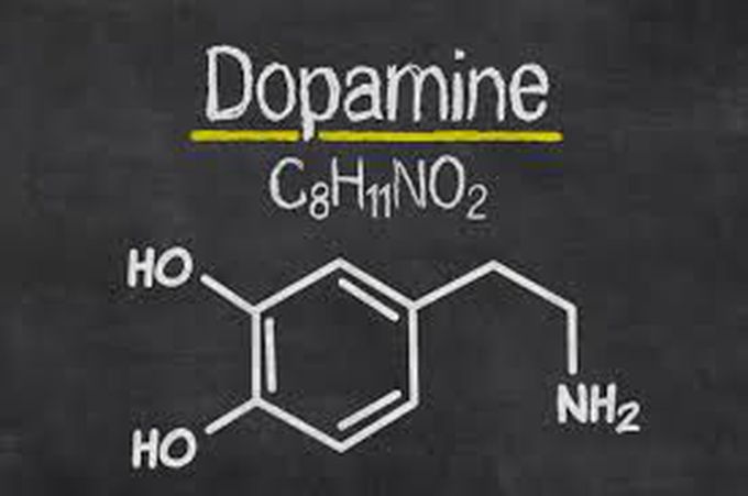 What is Dopamine?