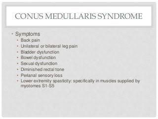 cauda equina vs conus medullaris syndrome