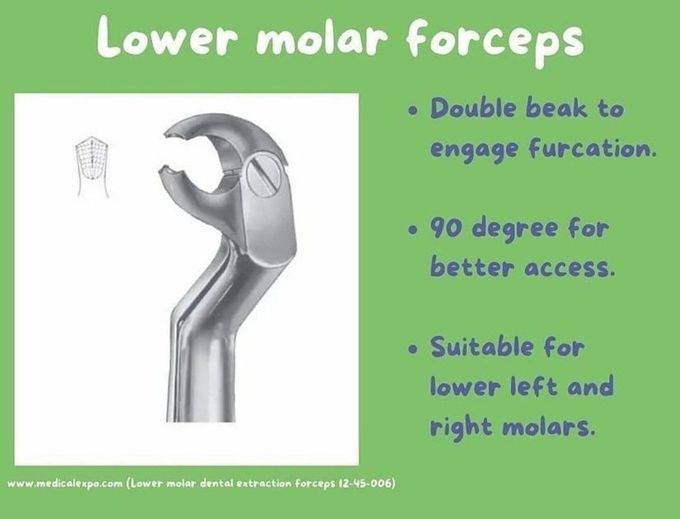 Lower Molar Forceps