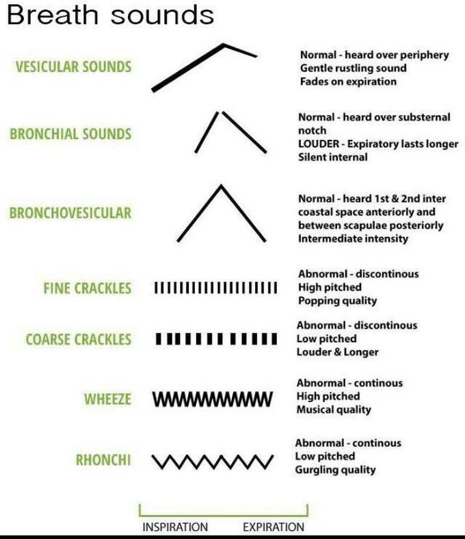 Breath sounds MEDizzy