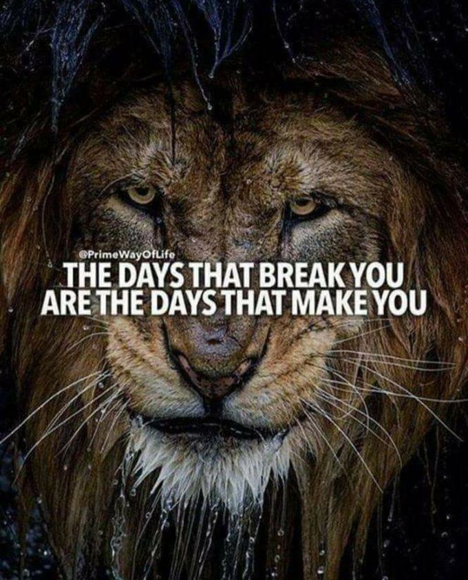 ✨✨ True  fact✨✨