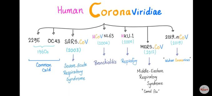 Respiratory coronaviridiae