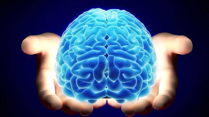 Protien synthesis Regulatory factor CAPRIN1is required for long term memory