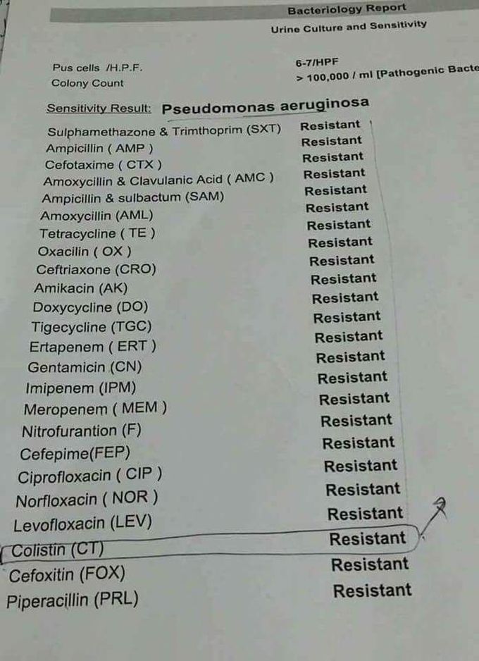 Status of Pseudomonas treatment