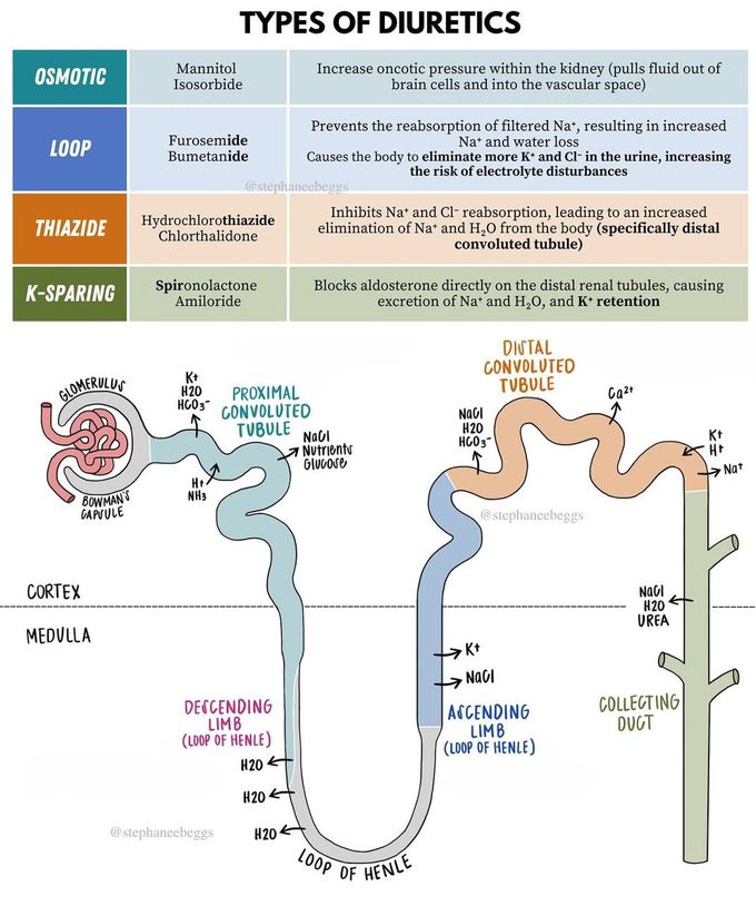 Types of Diuretics