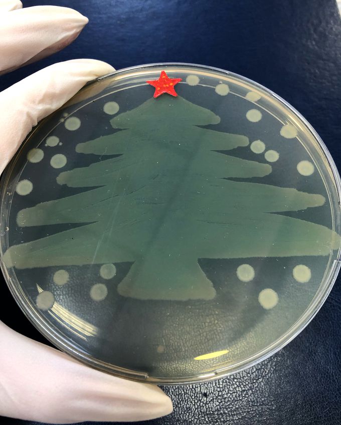 🎄🥳🤩💃🏻🕺🏻🎅🏻🐖☃️🍾🥂🧫🔬🎊🎉🛍🎁 🔜 2️⃣0️⃣1️⃣9️⃣