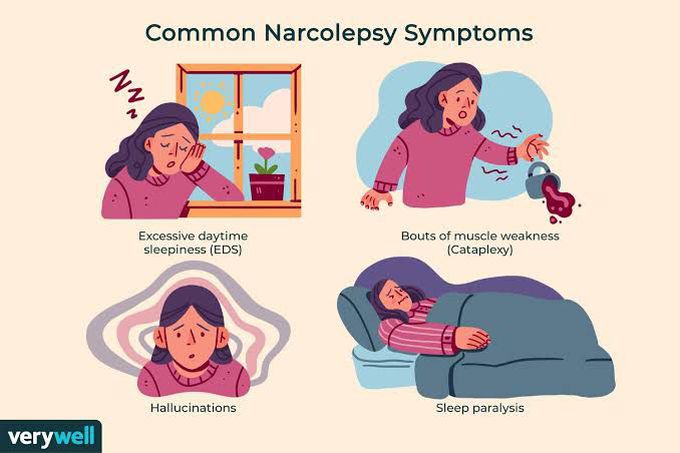 symptoms of narcolepsy / Gelineaus syndrome - MEDizzy