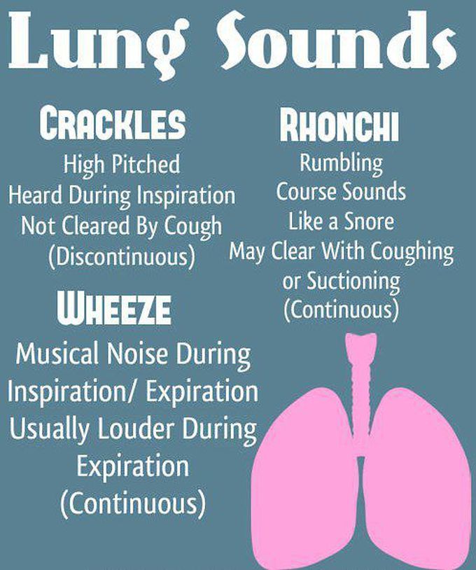 Abnormal lung sounds