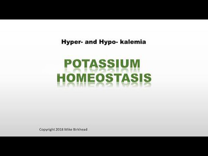 Renal Regulation of Potassium