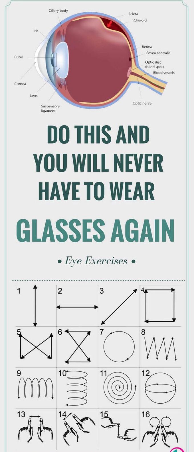 Eye exercises. . . !!