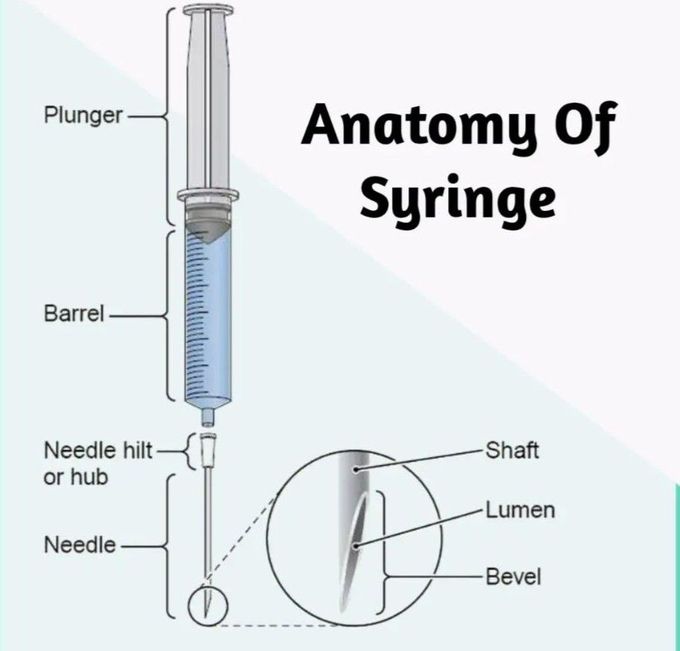 Anatomy of the Syringe