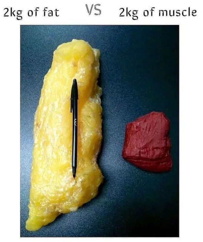 2kg-fat-vs-2kg-muscle-medizzy