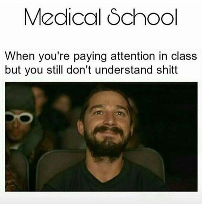 #medicalschool#truth#difficulty
