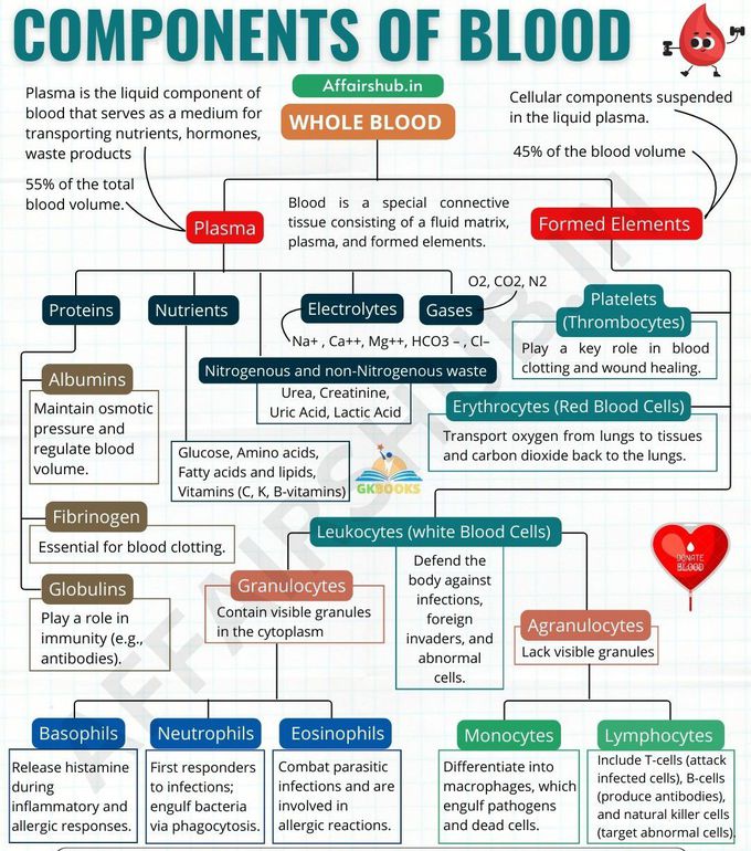 Components of Blood