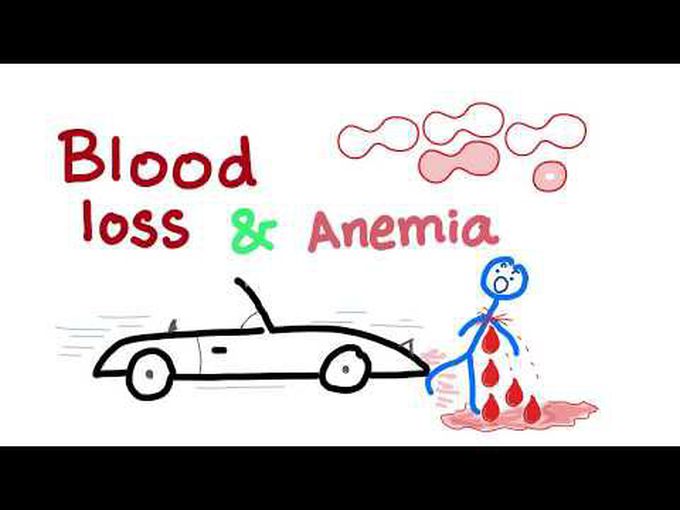 Pathology of blood loss anaemia