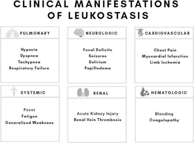 These are the clinical manifestations of Leukostasis