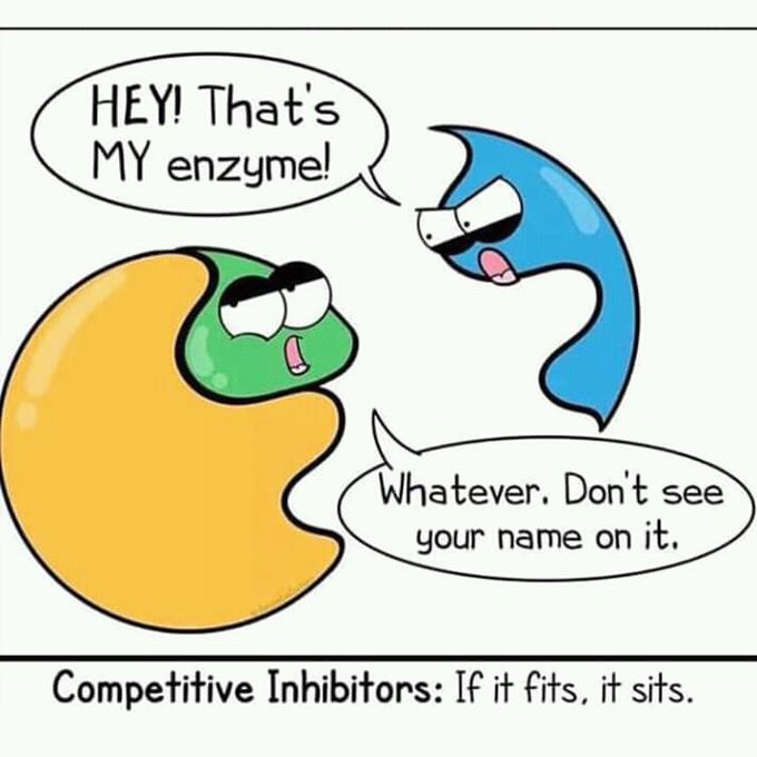 Competitive Inhibition??