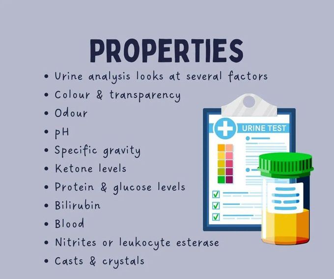 Urine Analysis- Properties