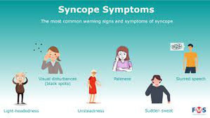 What Is Syncope Caused By In Dogs