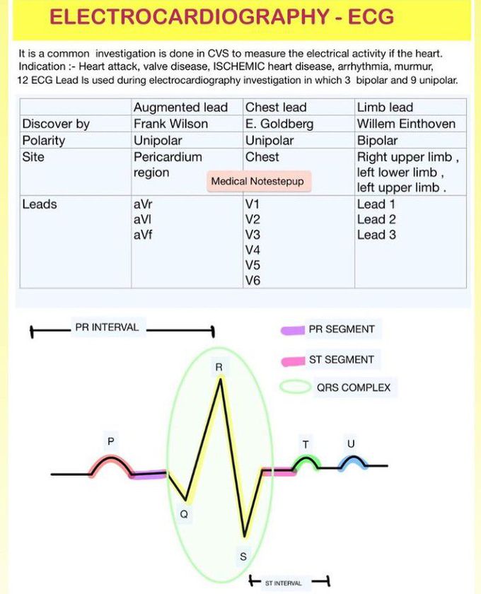 Electrocardiography - MEDizzy