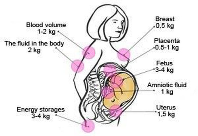 Weight gain during pregnancy