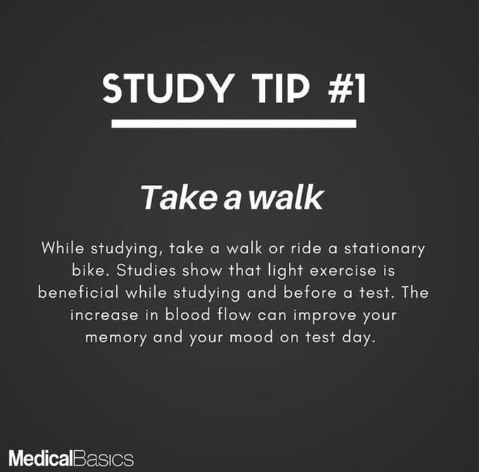Study tips 💡