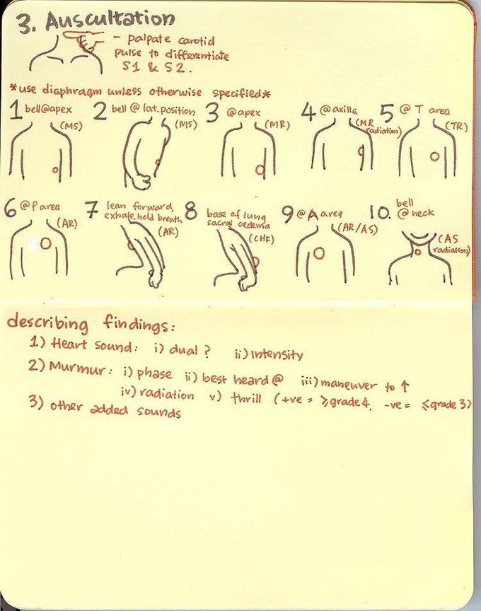 auscultation