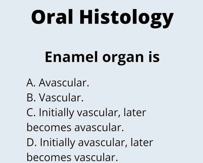 Enamel Organ