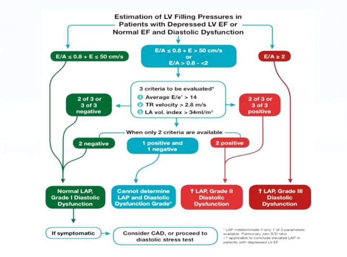 Criteria of LV filling pressure assessment on echo