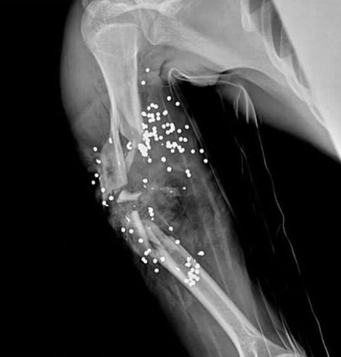 Damage x rays