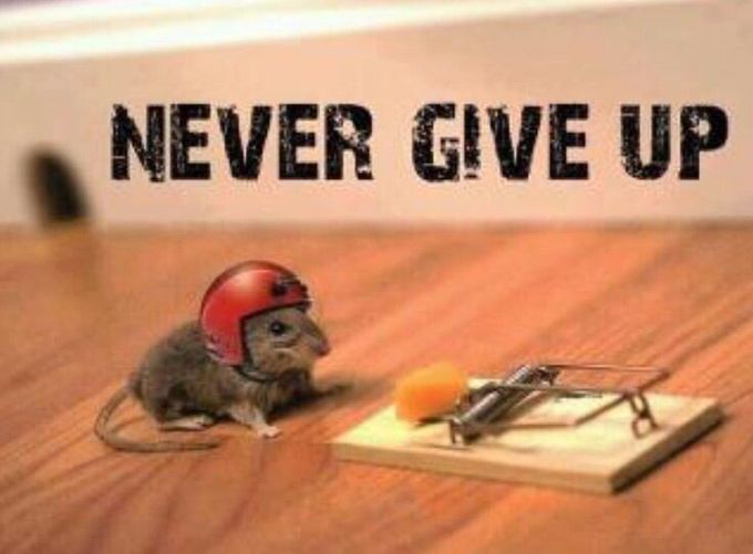 SUCCESS COMES TO THOSE WHO WORK HARD, LIFE HEAVY AND NEVER GIVE UP.