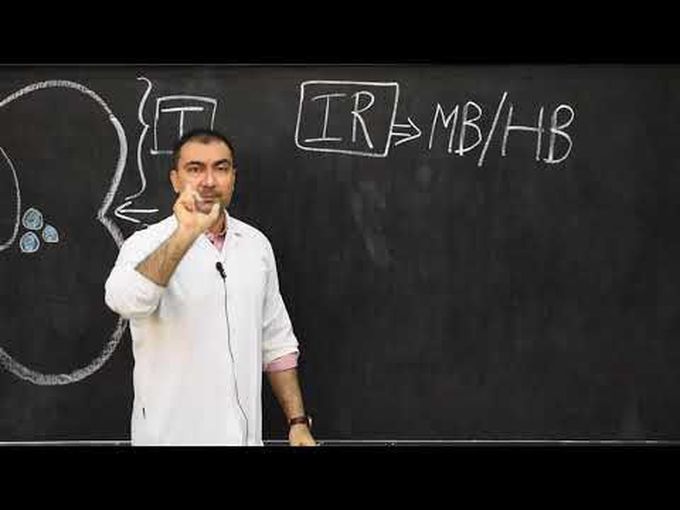 Development of Midbrain-I