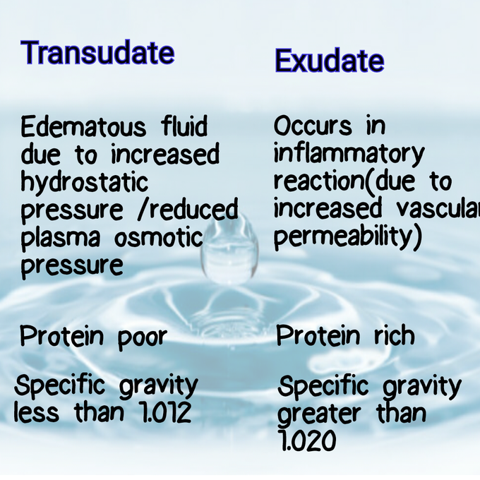 Transudate and exudate