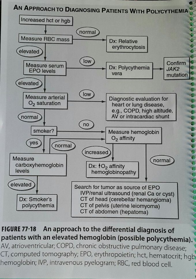 An approach to diagnosing patients with polycythemia