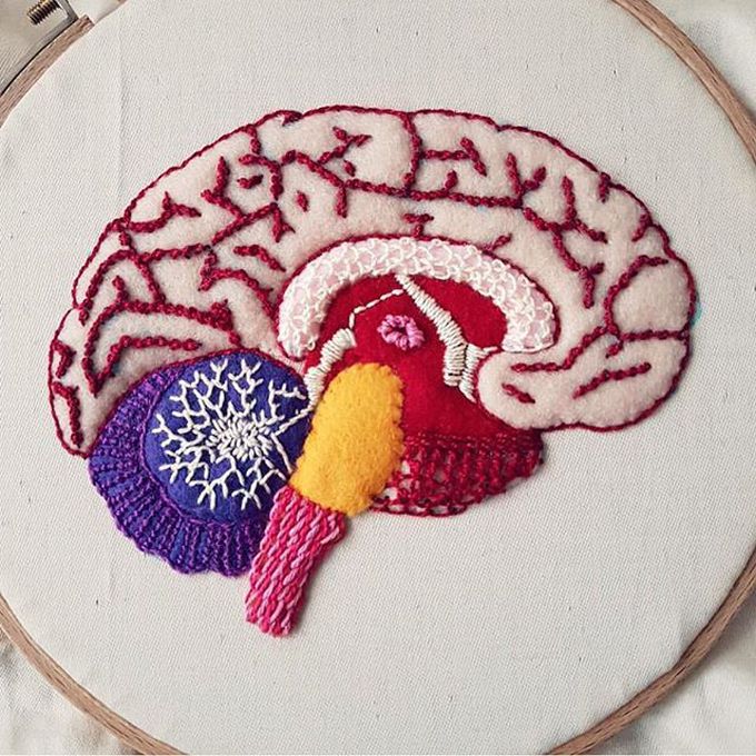 Central nervous system amazingly done