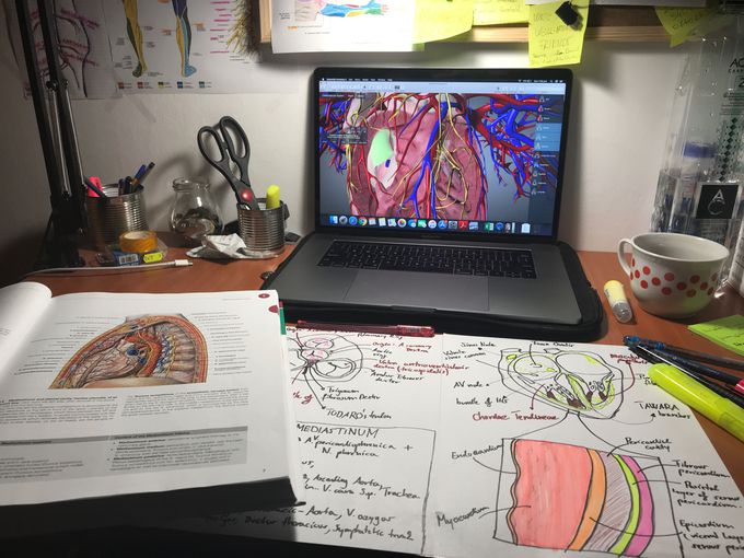 Never stop study what you love