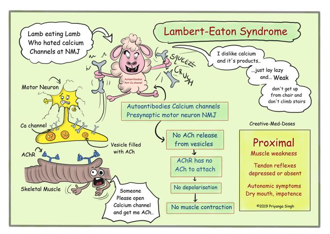 Lambert-Eaton myasthenic syndrome