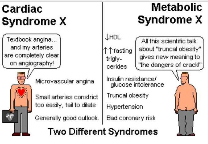 Cardiac Syndrome X and Metabolic Syndrome X